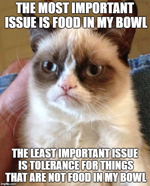 Grumpy Cat Meme | THE MOST IMPORTANT ISSUE IS FOOD IN MY BOWL THE LEAST IMPORTANT ISSUE IS TOLERANCE FOR THINGS THAT ARE NOT FOOD IN MY BOWL | image tagged in memes,grumpy cat | made w/ Imgflip meme maker