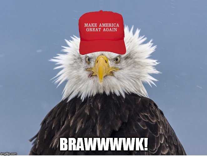 BRAWWWWK! | image tagged in trump eagle | made w/ Imgflip meme maker