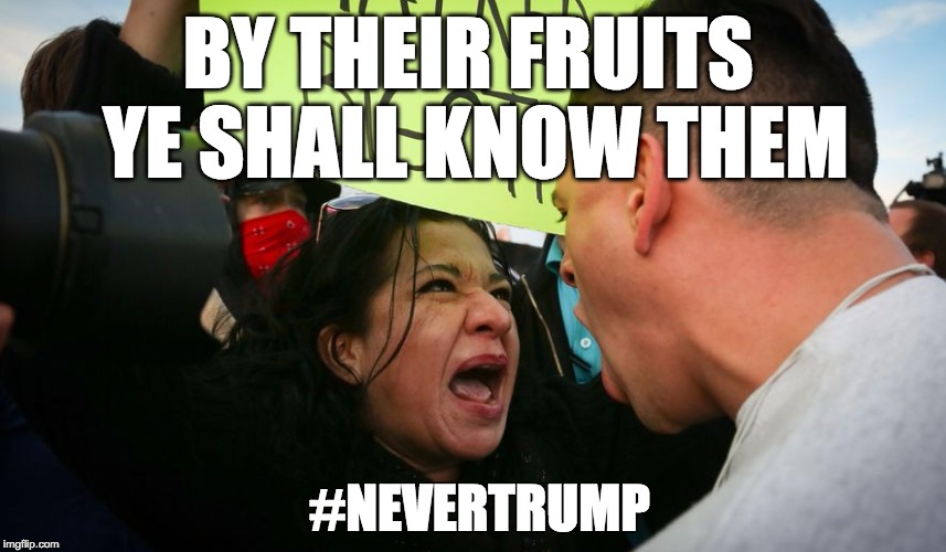  BY THEIR FRUITS YE SHALL KNOW THEM; #NEVERTRUMP | image tagged in donald trump,trump,nevertrump | made w/ Imgflip meme maker