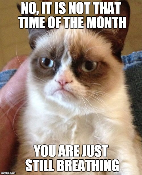 Grumpy Cat | NO, IT IS NOT THAT TIME OF THE MONTH; YOU ARE JUST STILL BREATHING | image tagged in memes,grumpy cat,funny,jedarojr,pms | made w/ Imgflip meme maker