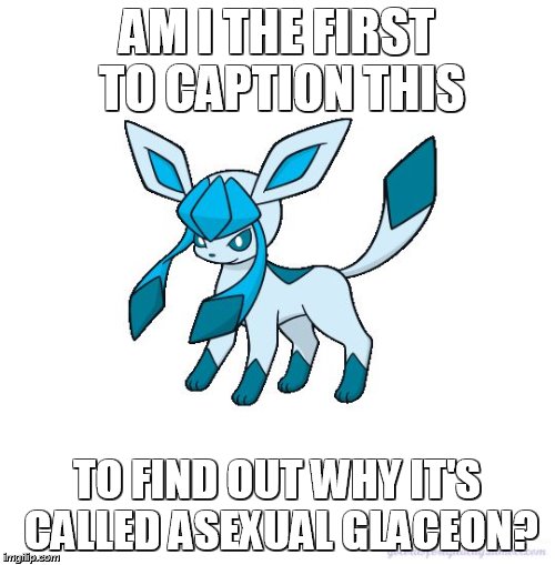 Asexual Glaceon | AM I THE FIRST TO CAPTION THIS; TO FIND OUT WHY IT'S CALLED ASEXUAL GLACEON? | image tagged in asexual glaceon | made w/ Imgflip meme maker