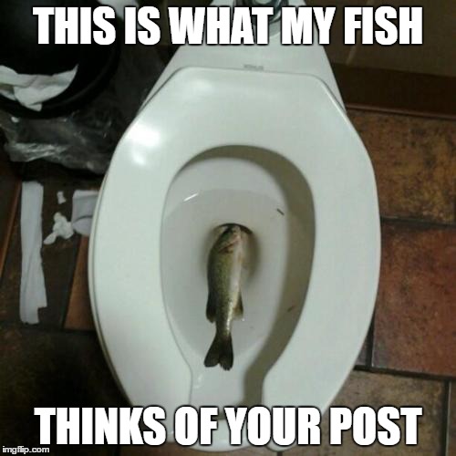 THIS IS WHAT MY FISH; THINKS OF YOUR POST | made w/ Imgflip meme maker