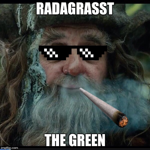 This is Gandalf's fault | RADAGRASST; THE GREEN | image tagged in hits blunt,mlg,pixel glasses | made w/ Imgflip meme maker