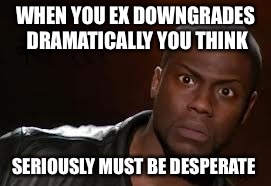 Kevin Hart | WHEN YOU EX DOWNGRADES DRAMATICALLY YOU THINK; SERIOUSLY MUST BE DESPERATE | image tagged in memes,kevin hart the hell | made w/ Imgflip meme maker