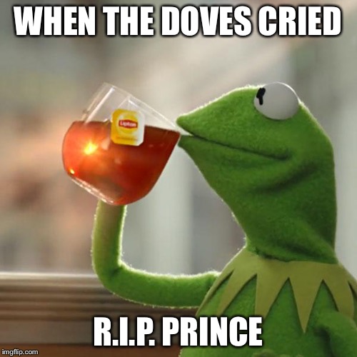 Every Day Is A Winding Day | WHEN THE DOVES CRIED; R.I.P. PRINCE | image tagged in memes,prince,revolution,rip | made w/ Imgflip meme maker