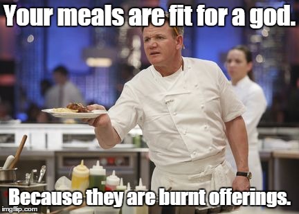 Gordon Ramsay | Your meals are fit for a god. Because they are burnt offerings. | image tagged in gordon ramsay | made w/ Imgflip meme maker