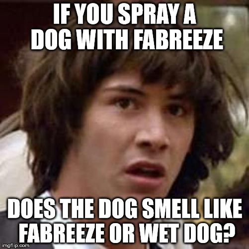 Conspiracy Keanu | IF YOU SPRAY A DOG WITH FABREEZE; DOES THE DOG SMELL LIKE FABREEZE OR WET DOG? | image tagged in memes,conspiracy keanu | made w/ Imgflip meme maker