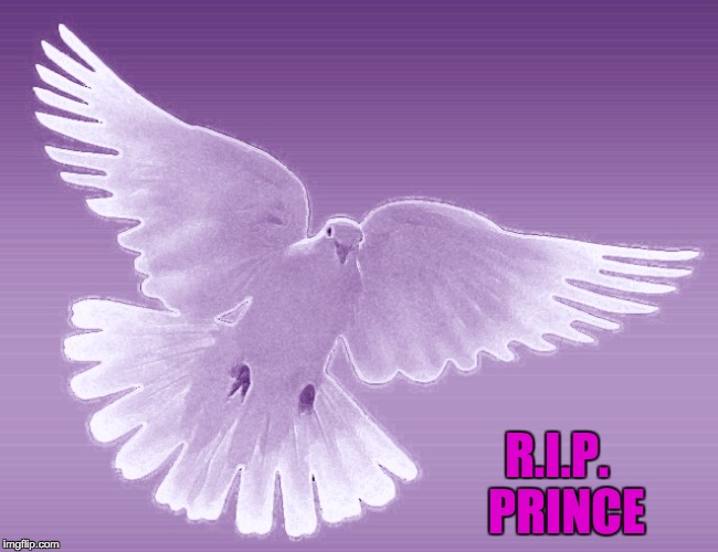 R.I.P.  PRINCE | made w/ Imgflip meme maker