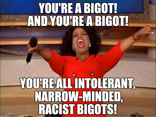 You don't think men should be allowed in the ladies' room? You think cops deserve respect and small business owners freedom? | YOU'RE A BIGOT! AND YOU'RE A BIGOT! YOU'RE ALL INTOLERANT, NARROW-MINDED, RACIST BIGOTS! | image tagged in memes,oprah you get a | made w/ Imgflip meme maker