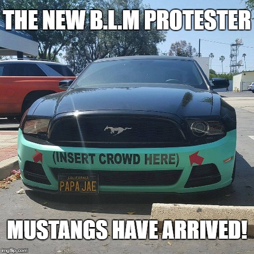 B.L.M protesters | THE NEW B.L.M PROTESTER; MUSTANGS HAVE ARRIVED! | image tagged in funny memes | made w/ Imgflip meme maker