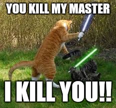 stupid cats | YOU KILL MY MASTER; I KILL YOU!! | image tagged in stupid cats | made w/ Imgflip meme maker