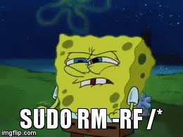 sudo power | SUDO RM -RF /* | image tagged in gifs | made w/ Imgflip video-to-gif maker