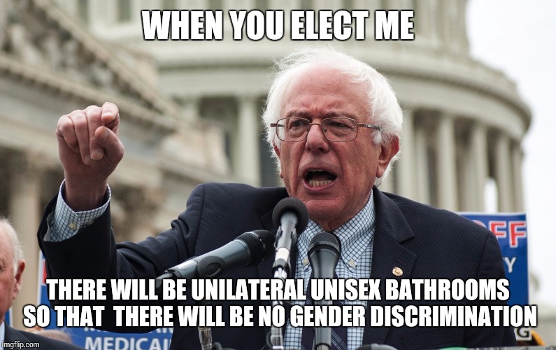 Bernie Sanders | WHEN YOU ELECT ME; THERE WILL BE UNILATERAL UNISEX BATHROOMS SO THAT  THERE WILL BE NO GENDER DISCRIMINATION | image tagged in bernie sanders | made w/ Imgflip meme maker
