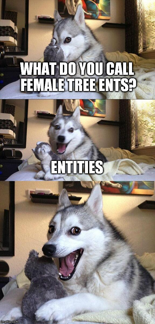 Bad Pun Dog | WHAT DO YOU CALL FEMALE TREE ENTS? ENTITIES | image tagged in memes,bad pun dog,lotr | made w/ Imgflip meme maker