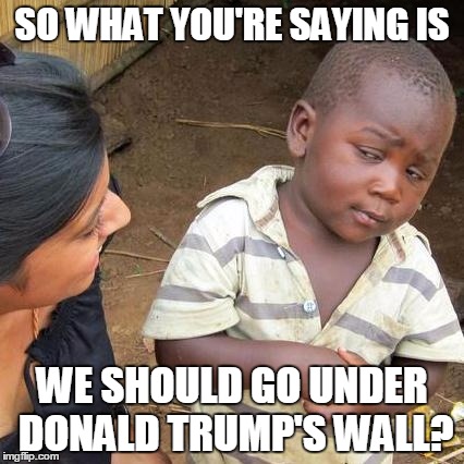 Third World Skeptical Kid | SO WHAT YOU'RE SAYING IS; WE SHOULD GO UNDER DONALD TRUMP'S WALL? | image tagged in memes,third world skeptical kid | made w/ Imgflip meme maker