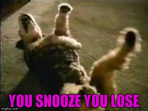 YOU SNOOZE YOU LOSE | made w/ Imgflip meme maker