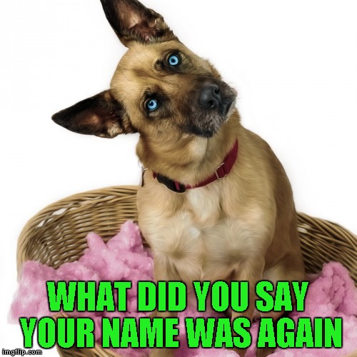 WHAT DID YOU SAY YOUR NAME WAS AGAIN | made w/ Imgflip meme maker