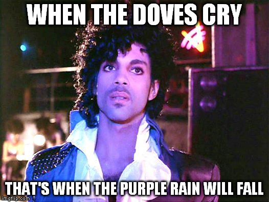 R.I.P. Prince | WHEN THE DOVES CRY; THAT'S WHEN THE PURPLE RAIN WILL FALL | image tagged in prince | made w/ Imgflip meme maker