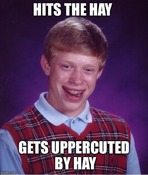 Bad Luck Brian | HITS THE HAY; GETS UPPERCUTED BY HAY | image tagged in memes,bad luck brian,funny,funny memes | made w/ Imgflip meme maker