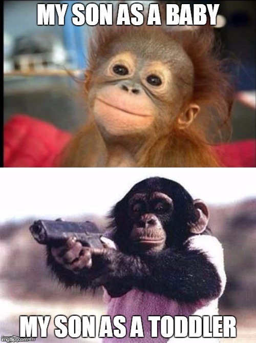 monkey moods | MY SON AS A BABY; MY SON AS A TODDLER | image tagged in monkey moods | made w/ Imgflip meme maker