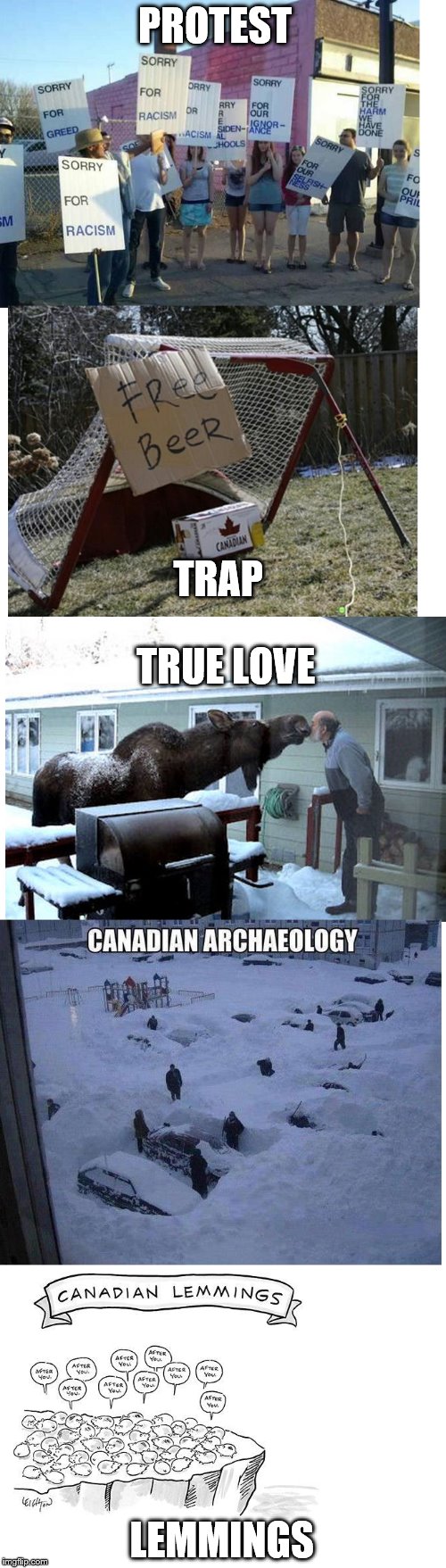 PROTEST; TRAP; TRUE LOVE; LEMMINGS | image tagged in memes,canadian,funny | made w/ Imgflip meme maker
