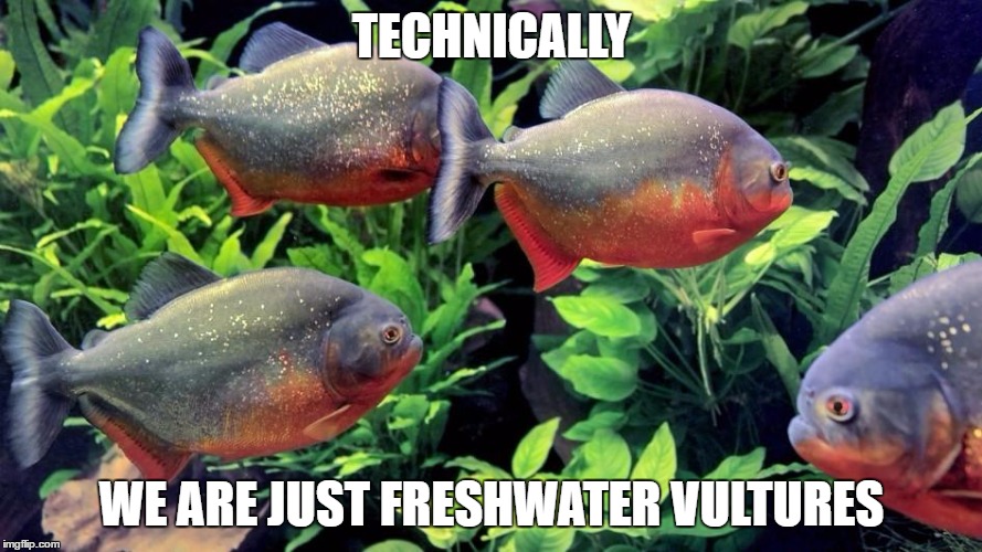 TECHNICALLY; WE ARE JUST FRESHWATER VULTURES | made w/ Imgflip meme maker