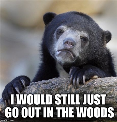 Confession Bear Meme | I WOULD STILL JUST GO OUT IN THE WOODS | image tagged in memes,confession bear | made w/ Imgflip meme maker