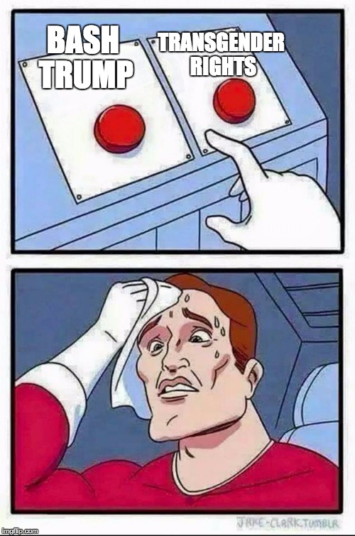 Two Buttons | TRANSGENDER RIGHTS; BASH TRUMP | image tagged in hard choice to make | made w/ Imgflip meme maker