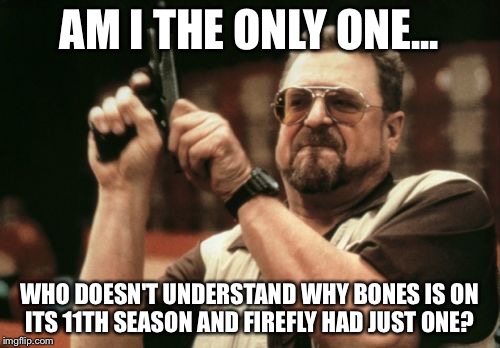Am I The Only One Around Here | AM I THE ONLY ONE... WHO DOESN'T UNDERSTAND WHY BONES IS ON ITS 11TH SEASON AND FIREFLY HAD JUST ONE? | image tagged in memes,am i the only one around here,AdviceAnimals | made w/ Imgflip meme maker