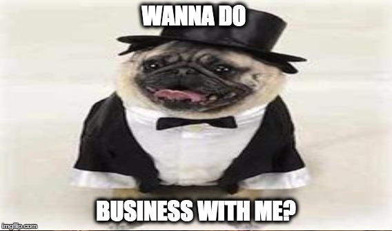 Wanna Do Business with me | WANNA DO; BUSINESS WITH ME? | image tagged in funny dogs | made w/ Imgflip meme maker