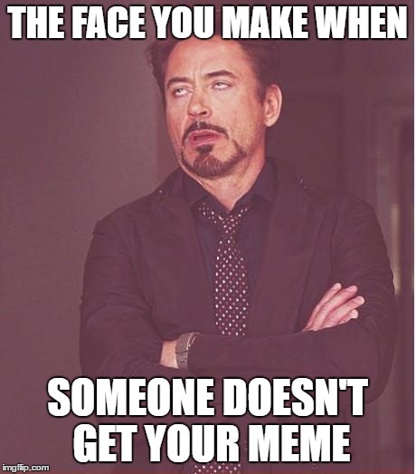 Face You Make Robert Downey Jr | THE FACE YOU MAKE WHEN; SOMEONE DOESN'T GET YOUR MEME | image tagged in memes,face you make robert downey jr | made w/ Imgflip meme maker