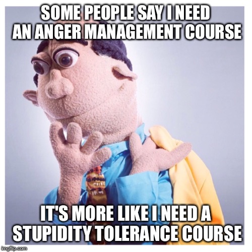 Lexo TV Pastor Stewart | SOME PEOPLE SAY I NEED AN ANGER MANAGEMENT COURSE; IT'S MORE LIKE I NEED A STUPIDITY TOLERANCE COURSE | image tagged in lexo tv pastor stewart | made w/ Imgflip meme maker
