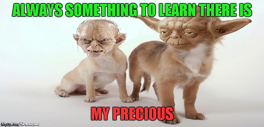 ALWAYS SOMETHING TO LEARN THERE IS MY PRECIOUS | made w/ Imgflip meme maker