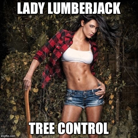 Lady lumberjack | LADY LUMBERJACK TREE CONTROL | image tagged in lady lumberjack | made w/ Imgflip meme maker