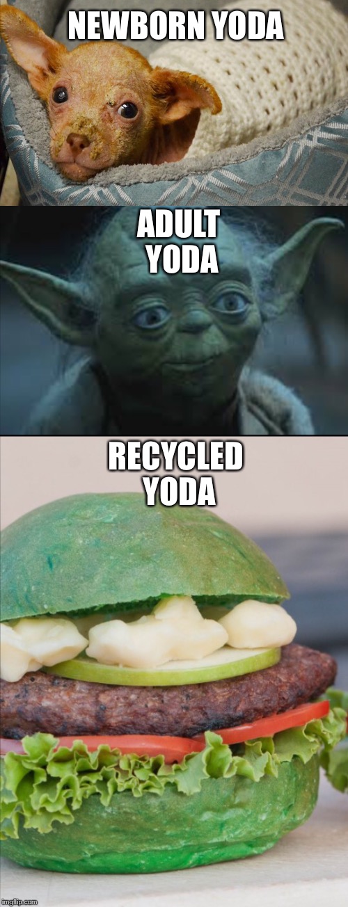 THE THREE STAGES OF YODA | NEWBORN YODA; ADULT YODA; RECYCLED YODA | image tagged in yoda | made w/ Imgflip meme maker