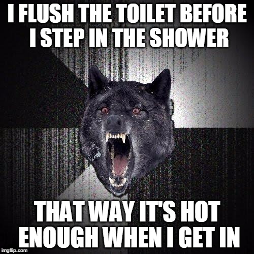 Insanity Wolf | I FLUSH THE TOILET BEFORE I STEP IN THE SHOWER; THAT WAY IT'S HOT ENOUGH WHEN I GET IN | image tagged in memes,insanity wolf | made w/ Imgflip meme maker