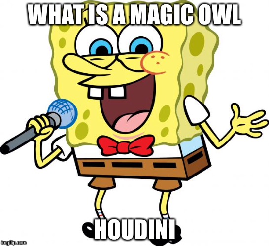 spongebob the comedian | WHAT IS A MAGIC OWL; HOUDINI | image tagged in spongebob the comedian | made w/ Imgflip meme maker