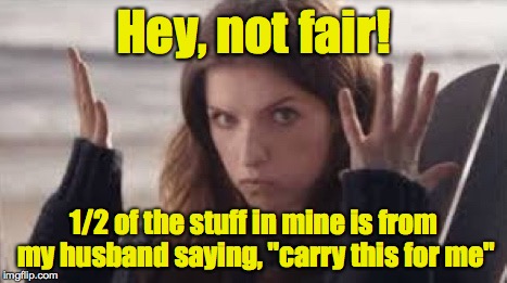 WTF Anna | Hey, not fair! 1/2 of the stuff in mine is from my husband saying, "carry this for me" | image tagged in wtf anna | made w/ Imgflip meme maker