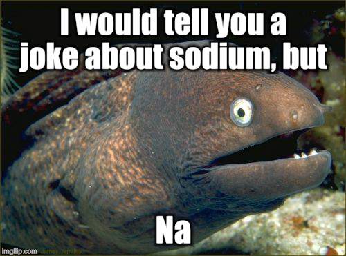 Bad Joke Eel Meme | I would tell you a joke about sodium, but; Na | image tagged in memes,bad joke eel | made w/ Imgflip meme maker