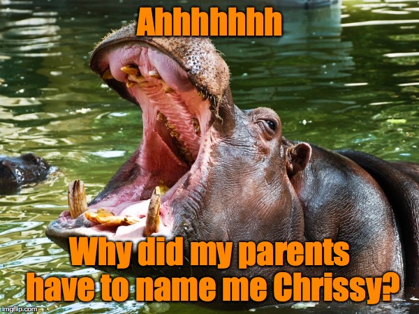 Ahhhhhhh Why did my parents have to name me Chrissy? | made w/ Imgflip meme maker