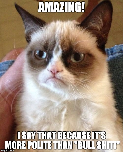 Grumpy Cat Meme | AMAZING! I SAY THAT BECAUSE IT'S MORE POLITE THAN "BULL SHIT!" | image tagged in memes,grumpy cat | made w/ Imgflip meme maker