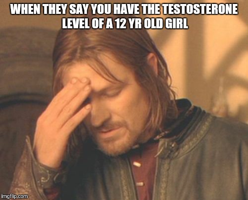 Frustrated Boromir Meme | WHEN THEY SAY YOU HAVE THE TESTOSTERONE LEVEL OF A 12 YR OLD GIRL | image tagged in memes,frustrated boromir | made w/ Imgflip meme maker