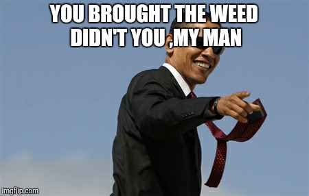 Cool Obama | YOU BROUGHT THE WEED DIDN'T YOU ,MY MAN | image tagged in memes,cool obama | made w/ Imgflip meme maker