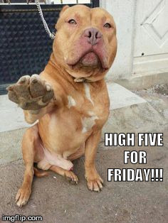 HIGH FIVE FOR FRIDAY!!! | made w/ Imgflip meme maker