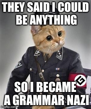 THEY SAID I COULD BE ANYTHING SO I BECAME A GRAMMAR NAZI | made w/ Imgflip meme maker