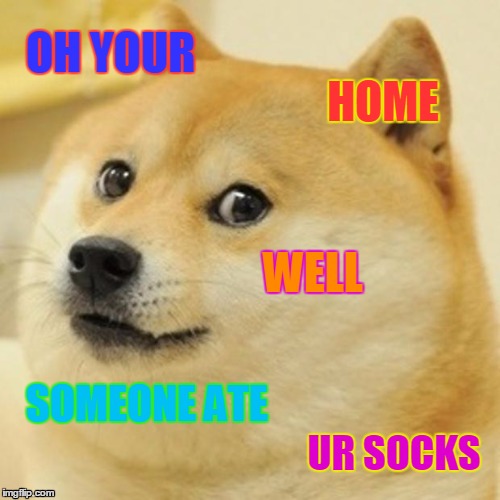 Doge Meme | OH YOUR; HOME; WELL; SOMEONE ATE; UR SOCKS | image tagged in memes,doge | made w/ Imgflip meme maker
