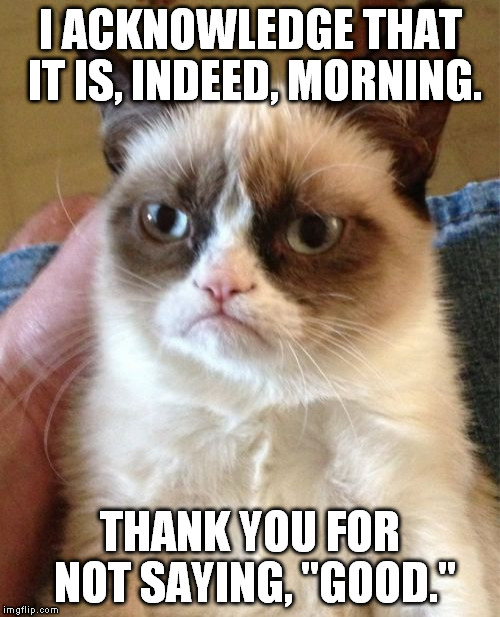 Morning. | I ACKNOWLEDGE THAT IT IS, INDEED, MORNING. THANK YOU FOR NOT SAYING, "GOOD." | image tagged in memes,grumpy cat,good,morning,funny | made w/ Imgflip meme maker