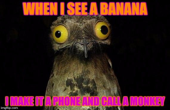 Weird Stuff I Do Potoo Meme | WHEN I SEE A BANANA; I MAKE IT A PHONE AND CALL A MONKEY | image tagged in memes,weird stuff i do potoo | made w/ Imgflip meme maker