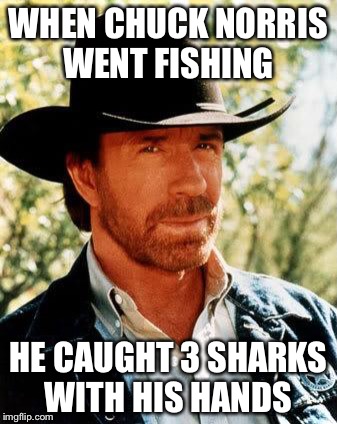 Gone fishing | WHEN CHUCK NORRIS WENT FISHING; HE CAUGHT 3 SHARKS WITH HIS HANDS | image tagged in chuck norris,fishing | made w/ Imgflip meme maker