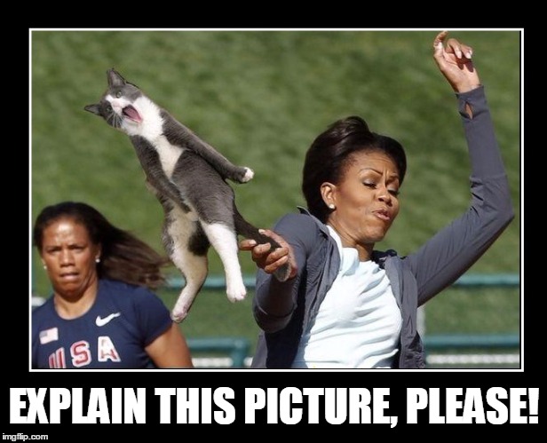 Explain This Picture... PLEASE! | EXPLAIN THIS PICTURE, PLEASE! | image tagged in michelle obama,cat tennis,vince vance,michelle obama exercising,first lady's health initiatives | made w/ Imgflip meme maker